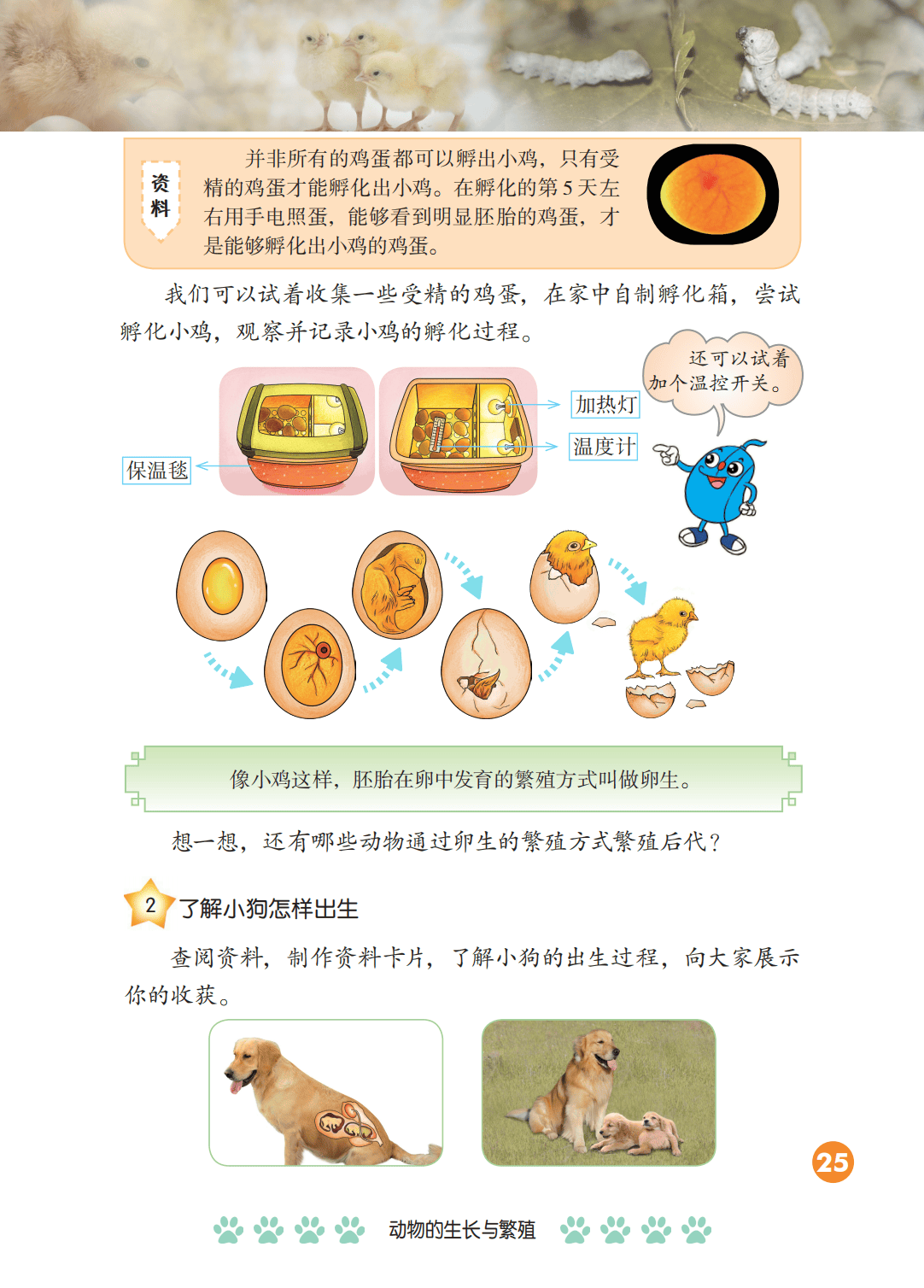 2026冀人版四年級科學下冊電子課本(PDF高畫質版新教材)
