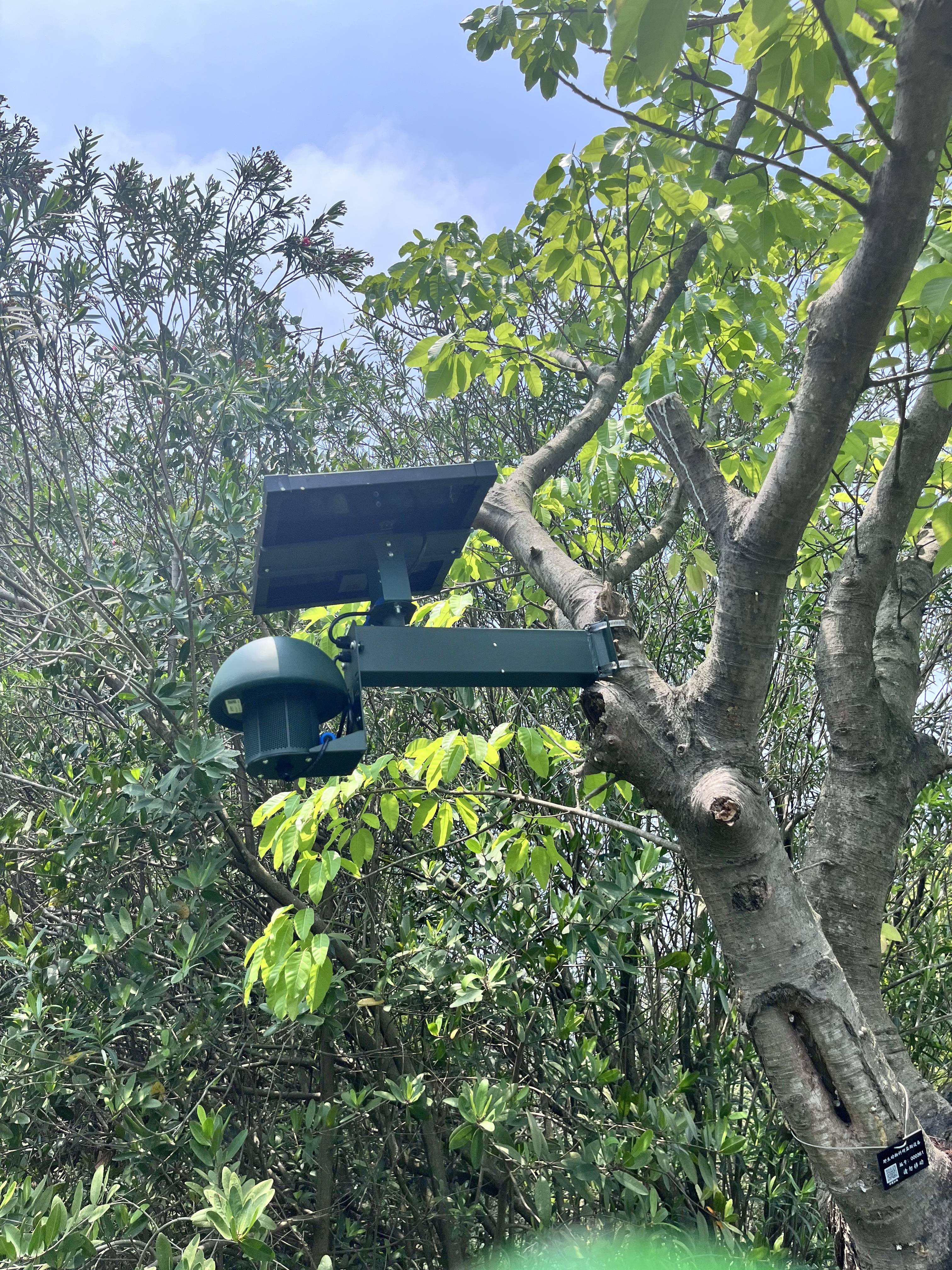 藏不住了！用科技解鎖大灣區中央溼地萌態圖鑑