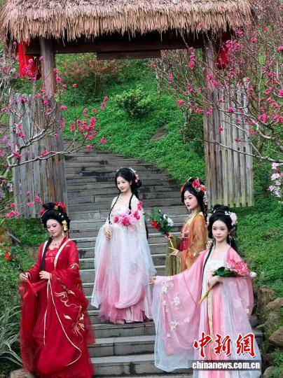 廣西南寧青秀山黃花風鈴旅遊季啟幕