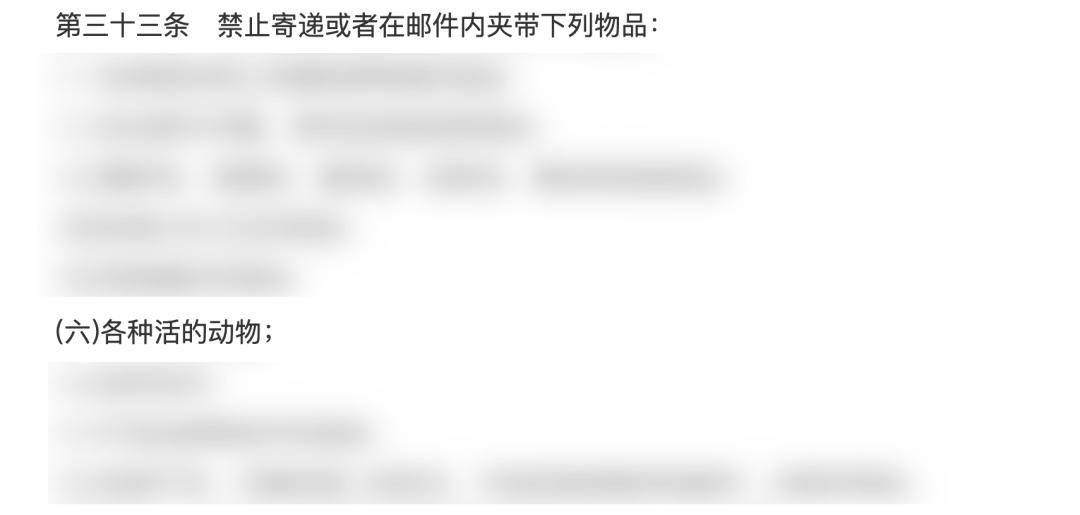 快遞面單上沒寫“這是生命”：青島膠州，一場400只幼犬無法抵達的運輸