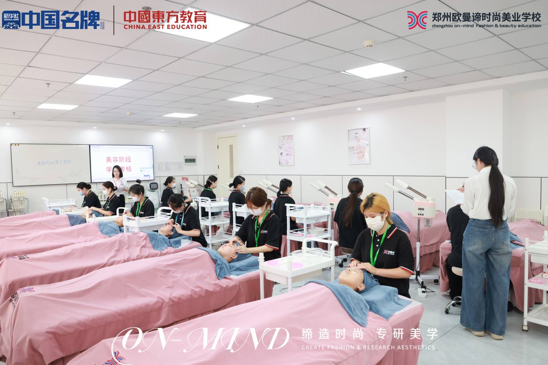 歸納美容學校怎麼收費，學寵物美容價格怎樣