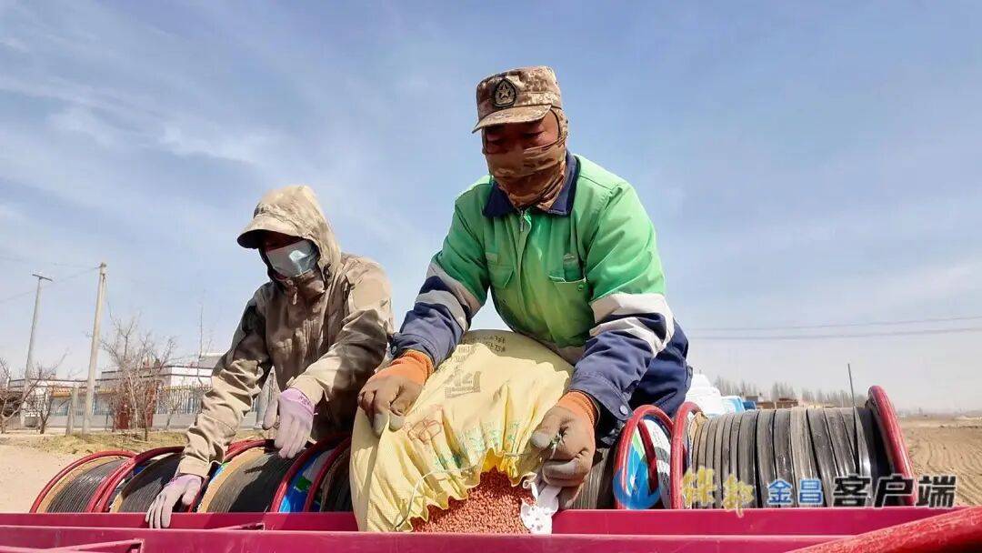 描繪“科技春耕”圖——金昌市春小麥種植見聞